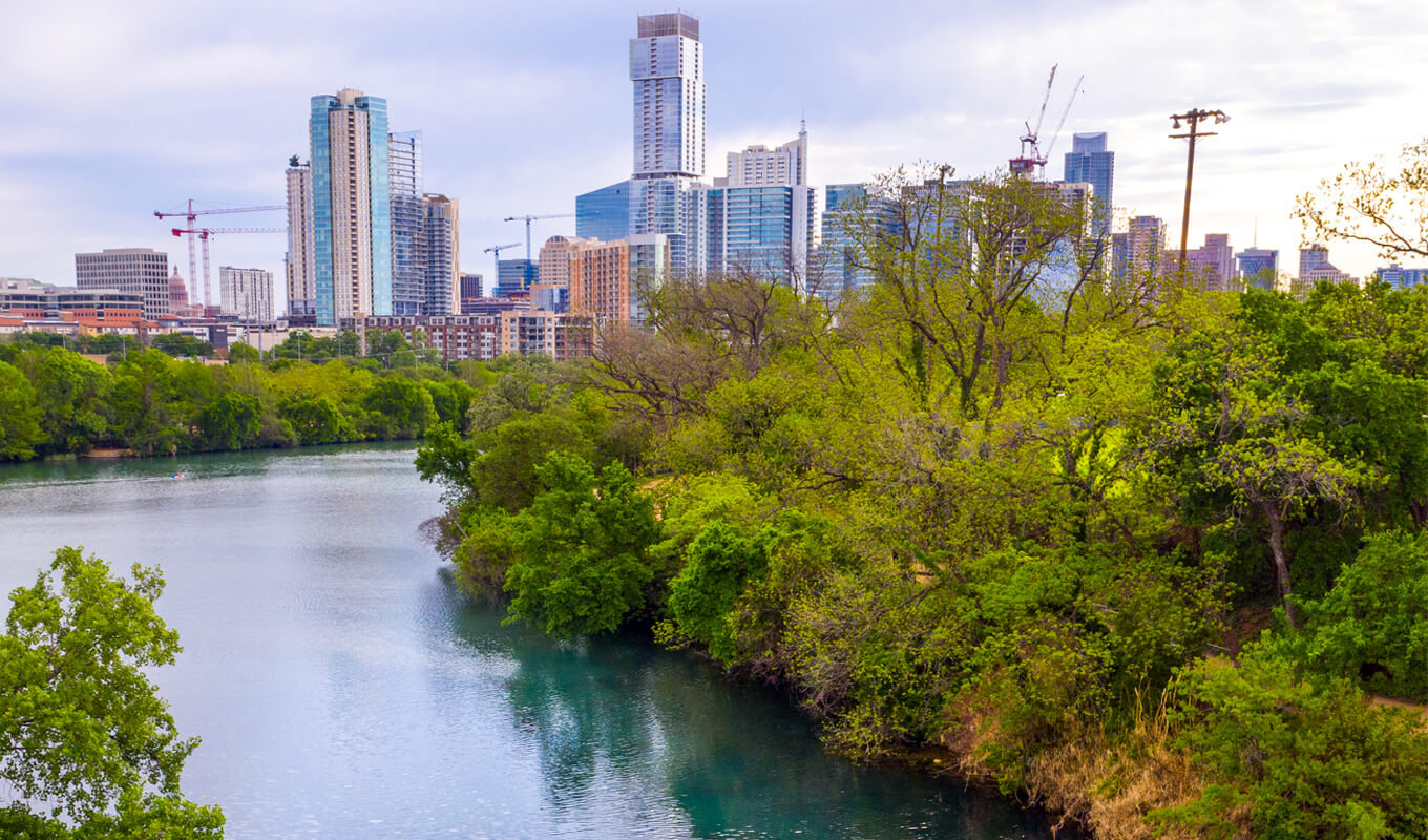 Aerial view of Lady bird and sky scrappers