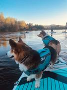 GILI Sports Dog Life Jacket Flotation Device Review