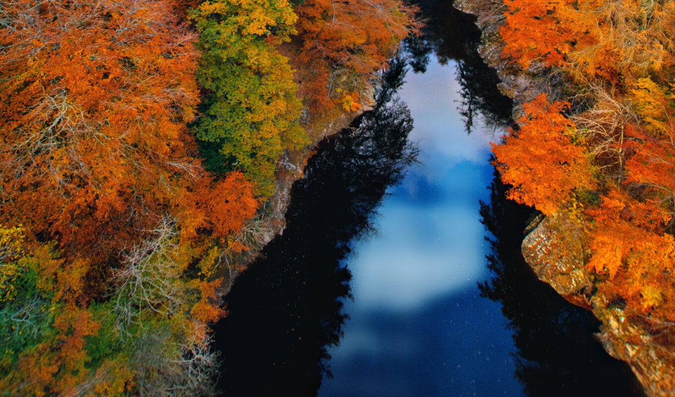 Autumn leaves near the river tay