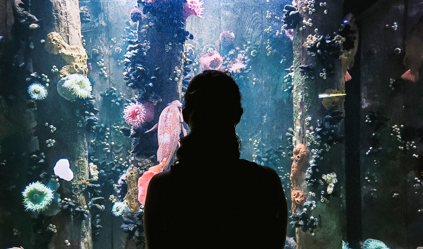Woman on the front of aquarium at Myrtle, South Carolina