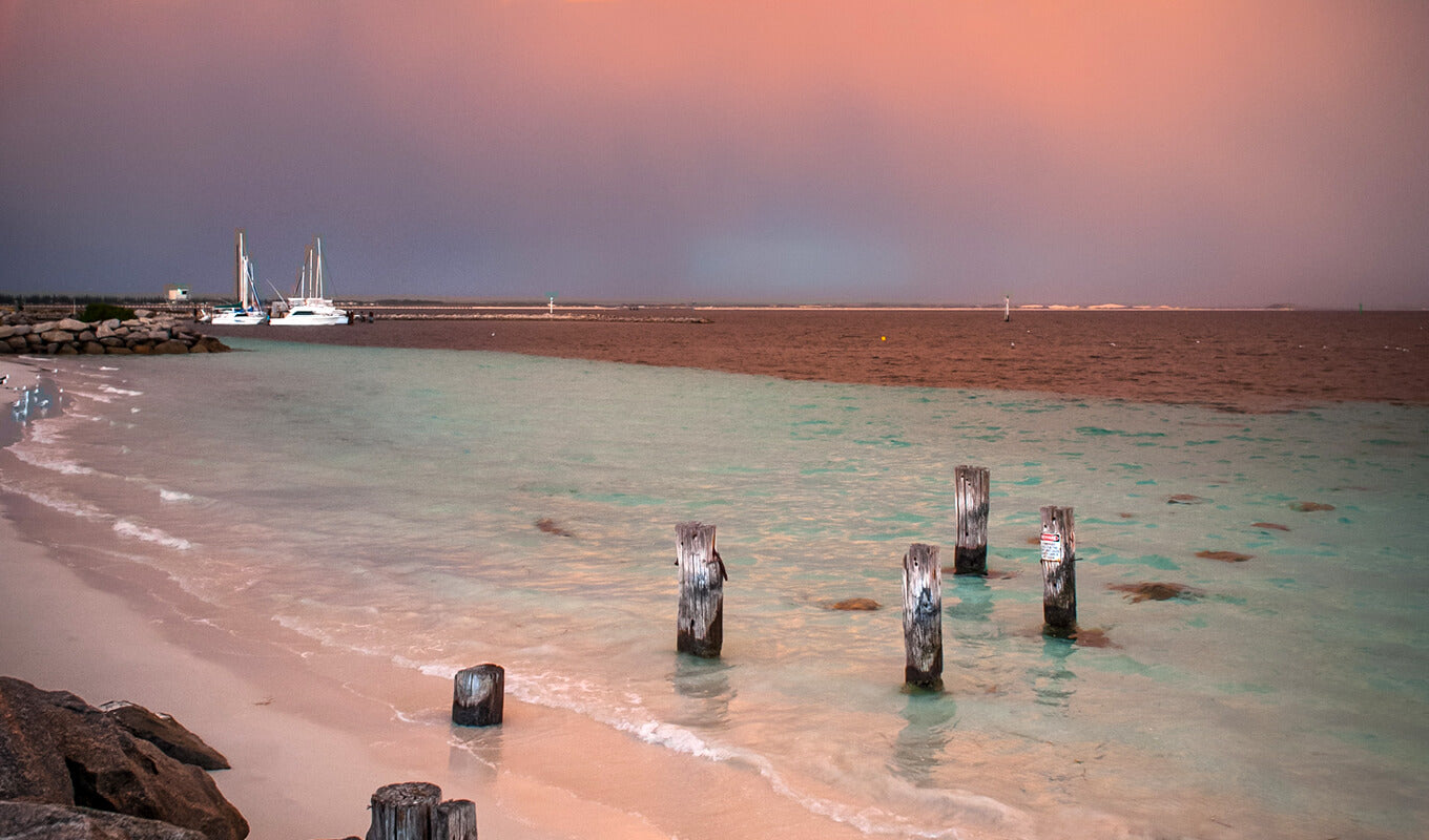 stilts on Port esperance, Tasmania