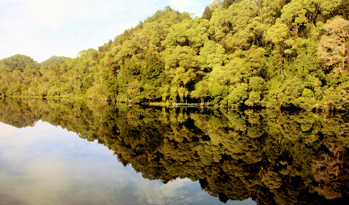 Reflection of the trees at Gordon River, Tasmania