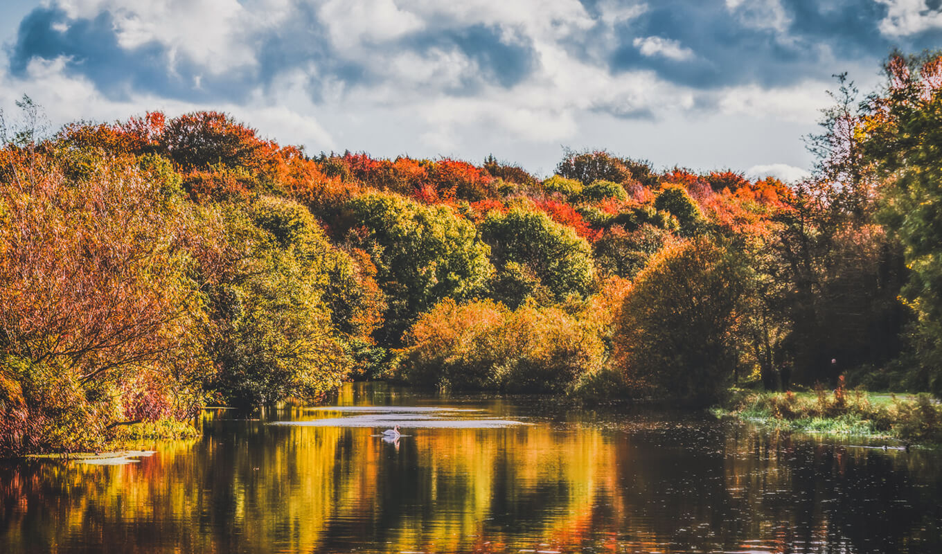 Lagan Valley Regional Park