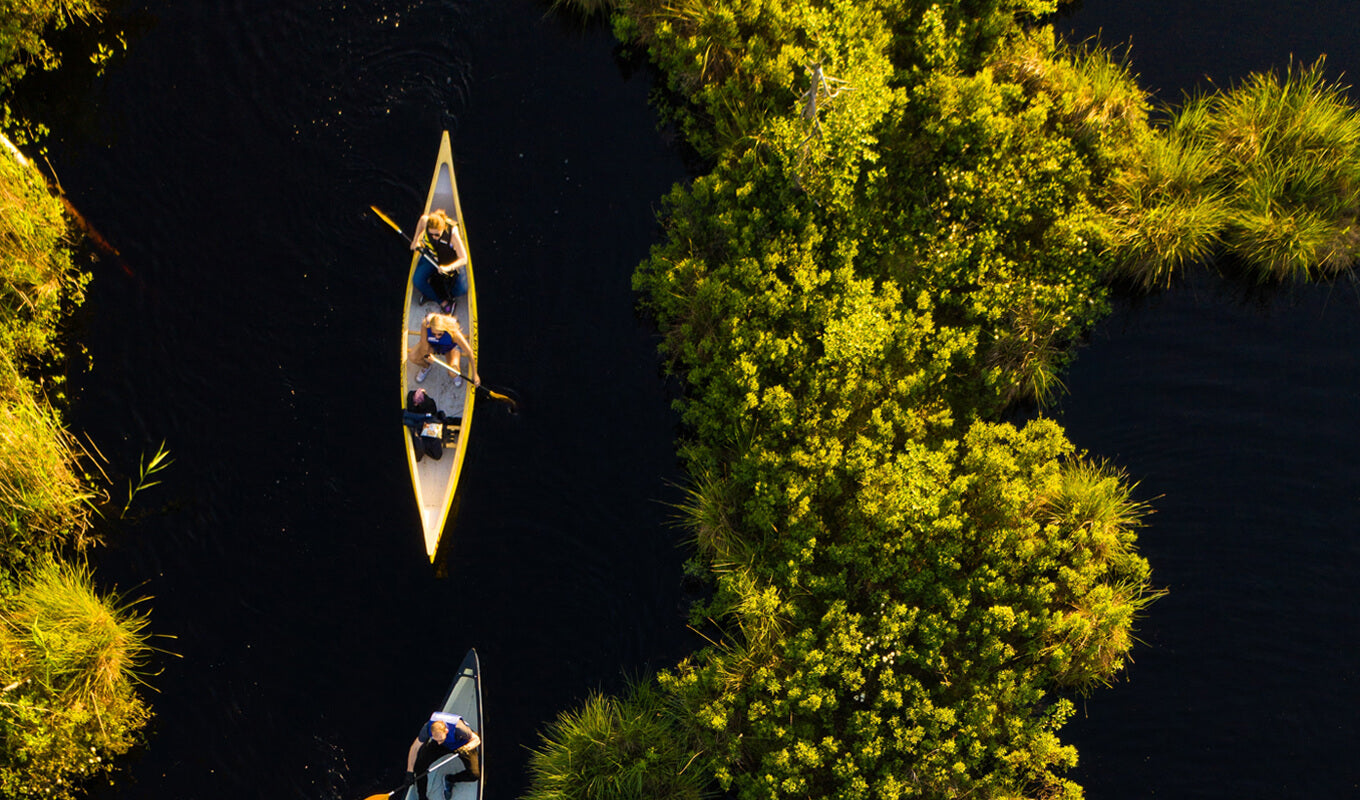 Group of people canoeing