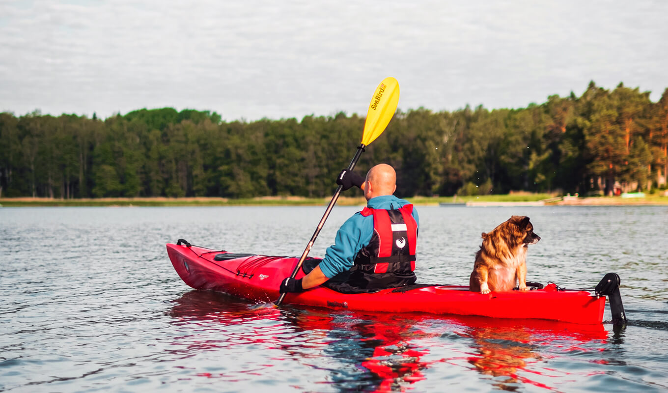 Man tandem kayak with a dog