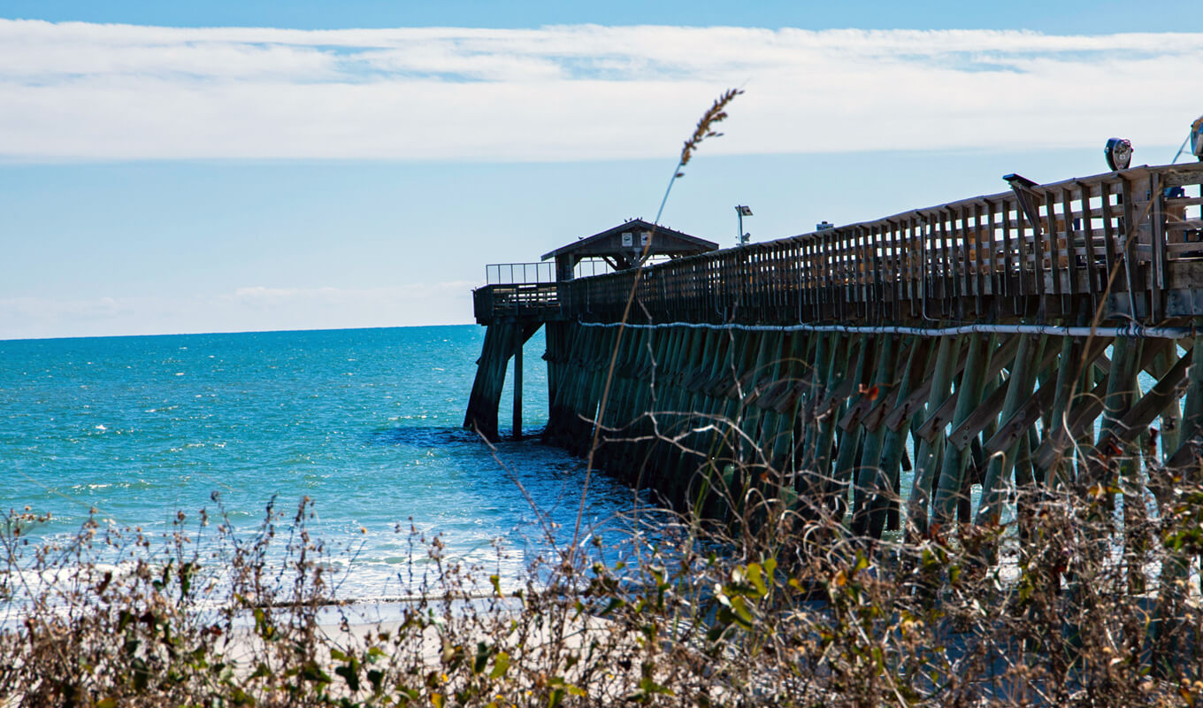Myrtle beach state park