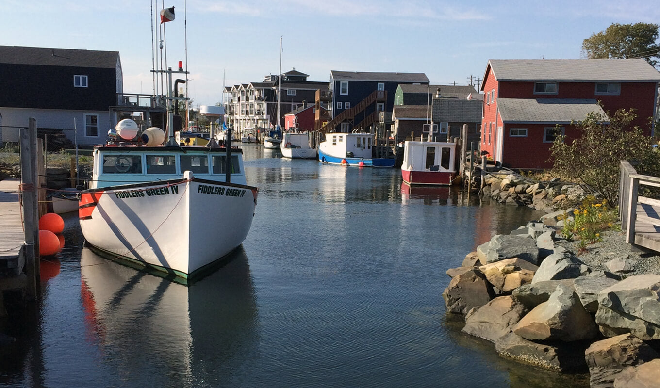Paddle boarding in Halifax