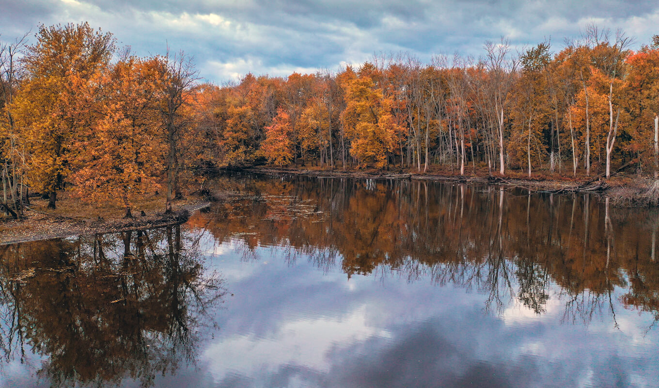 Colorful Fall of Skokie Lagoon, Chicago