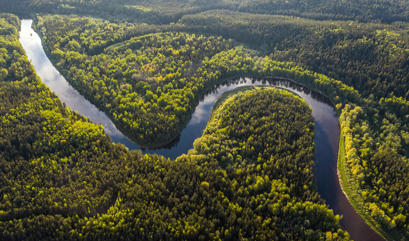 Amazon river, South America