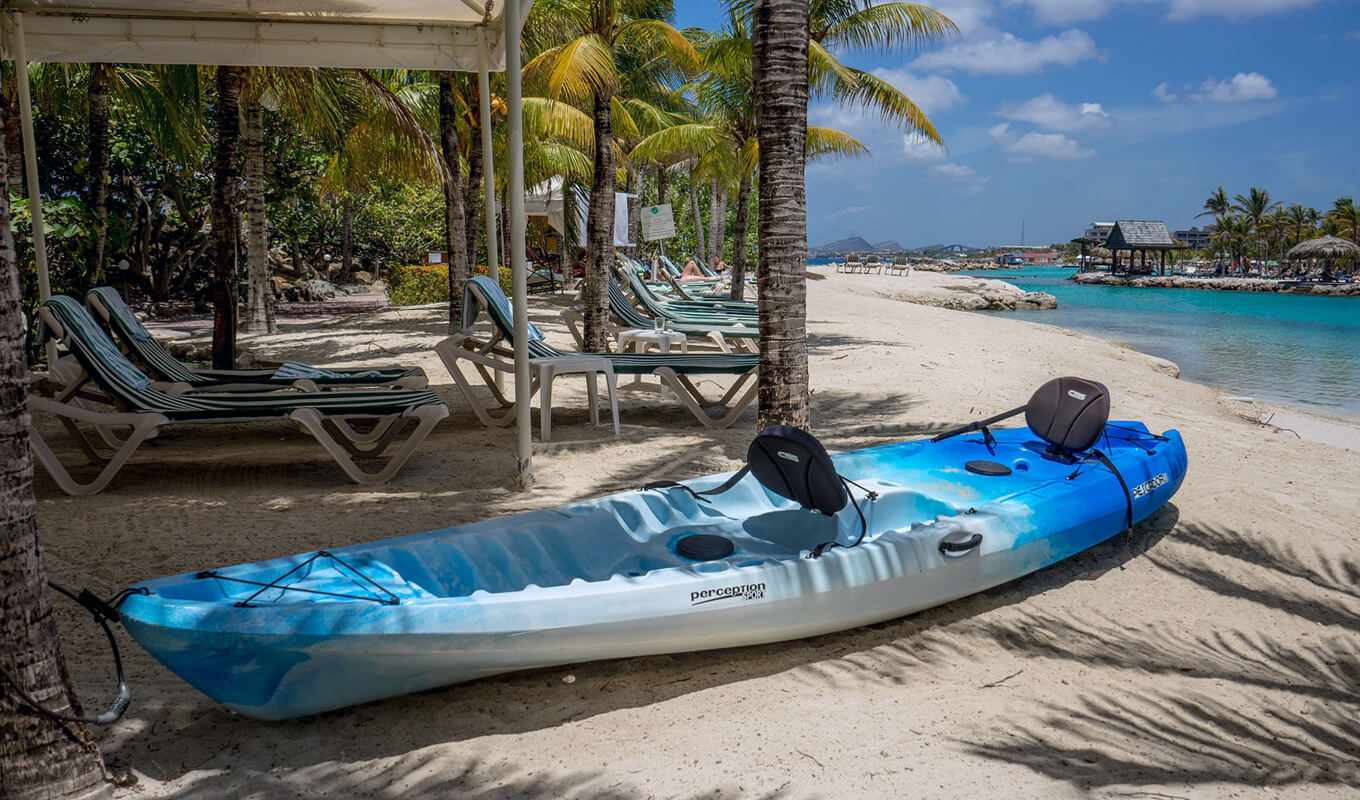 Blue tandem ocean kayak