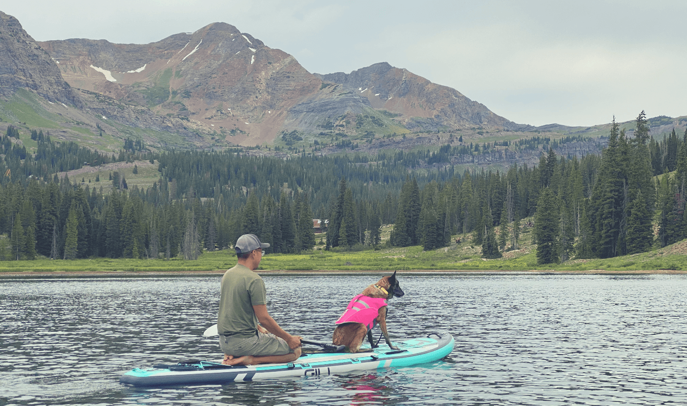 dog life jacket man pup pfd